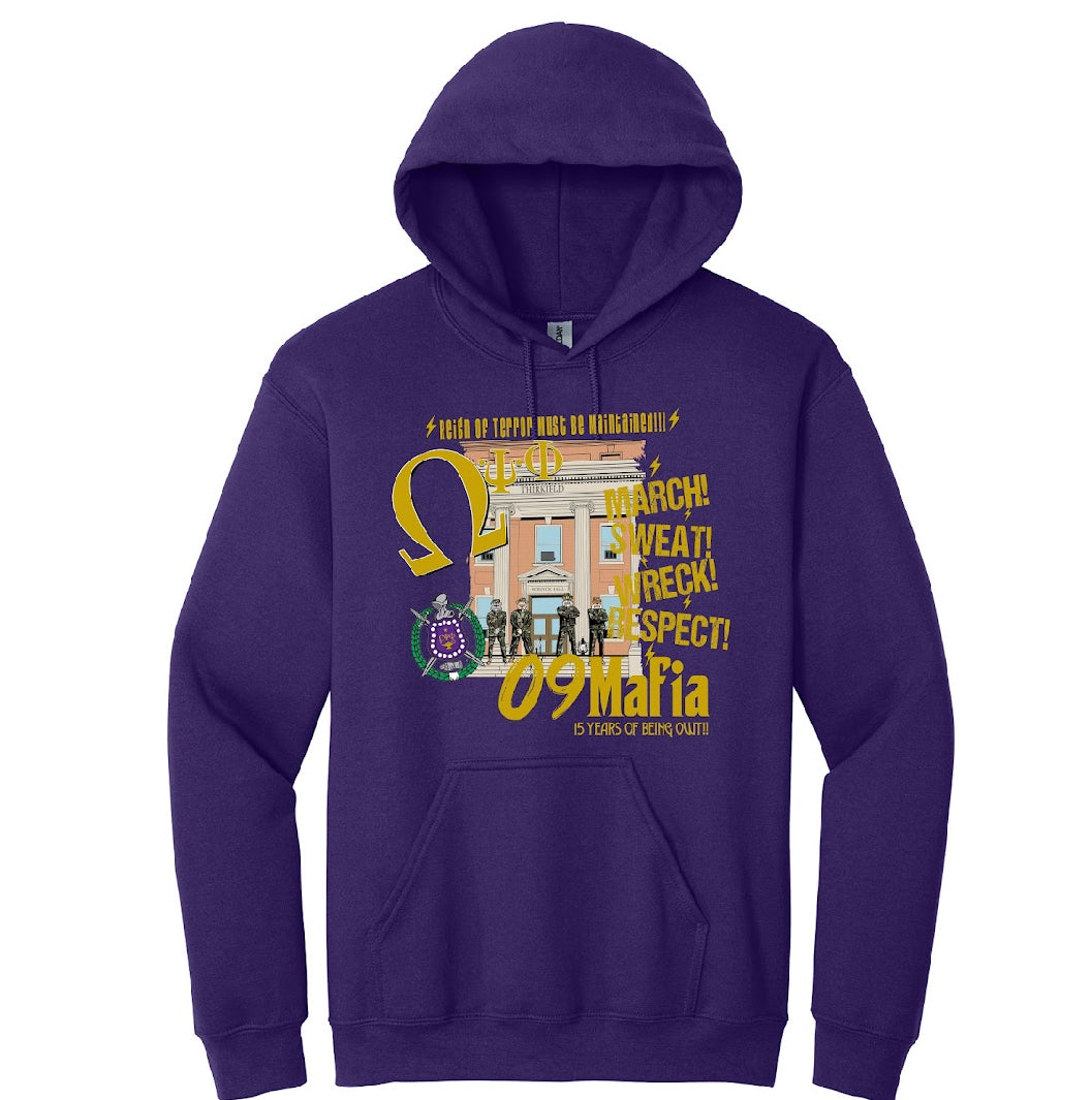 15 in hoodie purple
