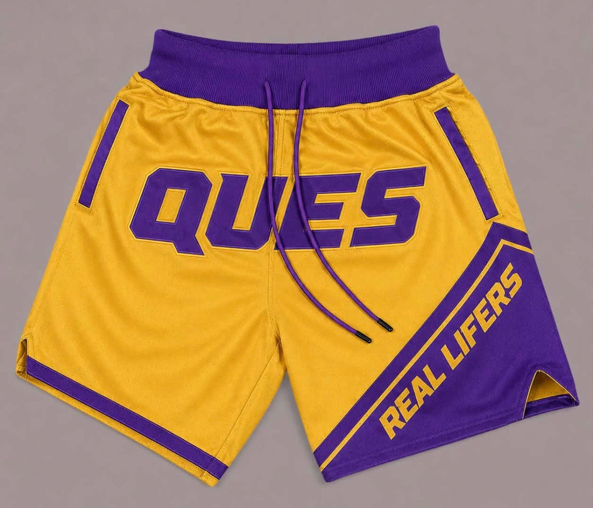 Real Lifers mesh Shorts