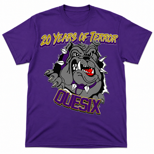 Q6 20 years of terror